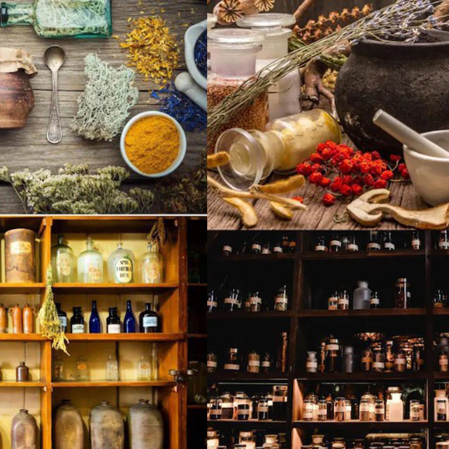 1000+ Forgotten Apothecary Rec - огляд і ціна Herbal Wellness Recipes