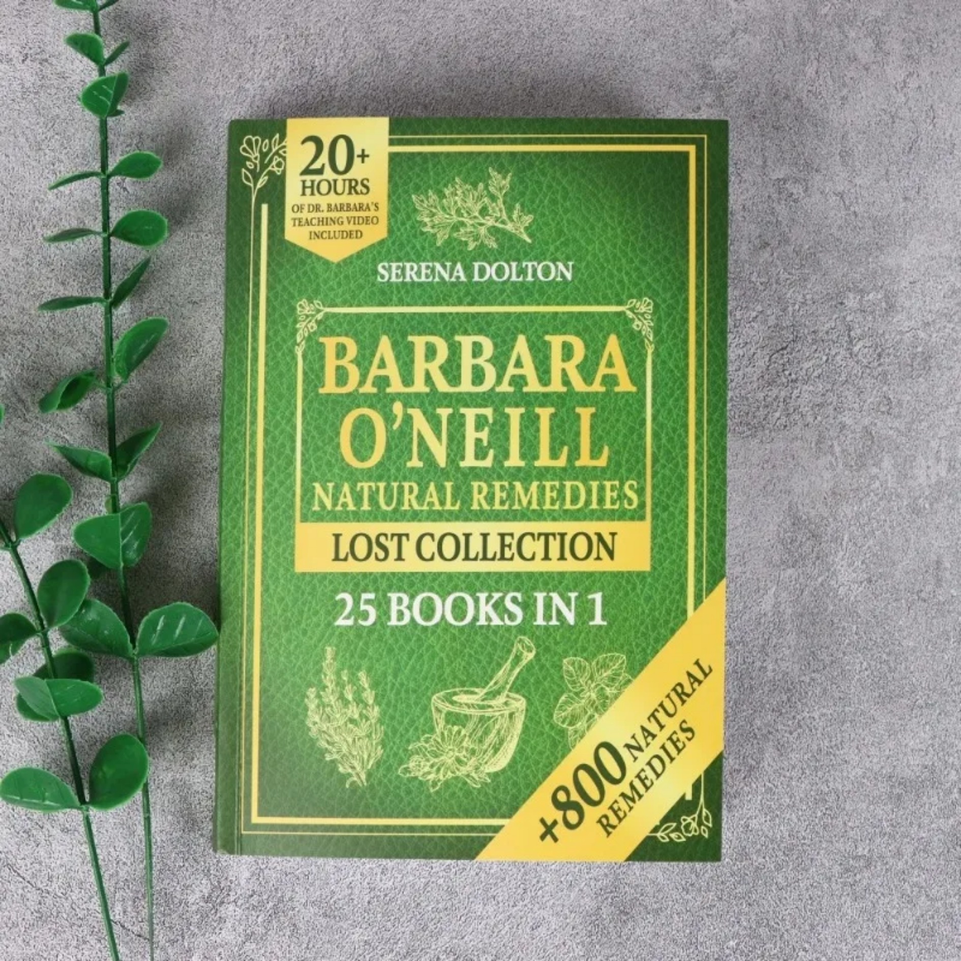 2026 Herbal Remedies Complete  - огляд і ціна Herbal Wellness Recipes