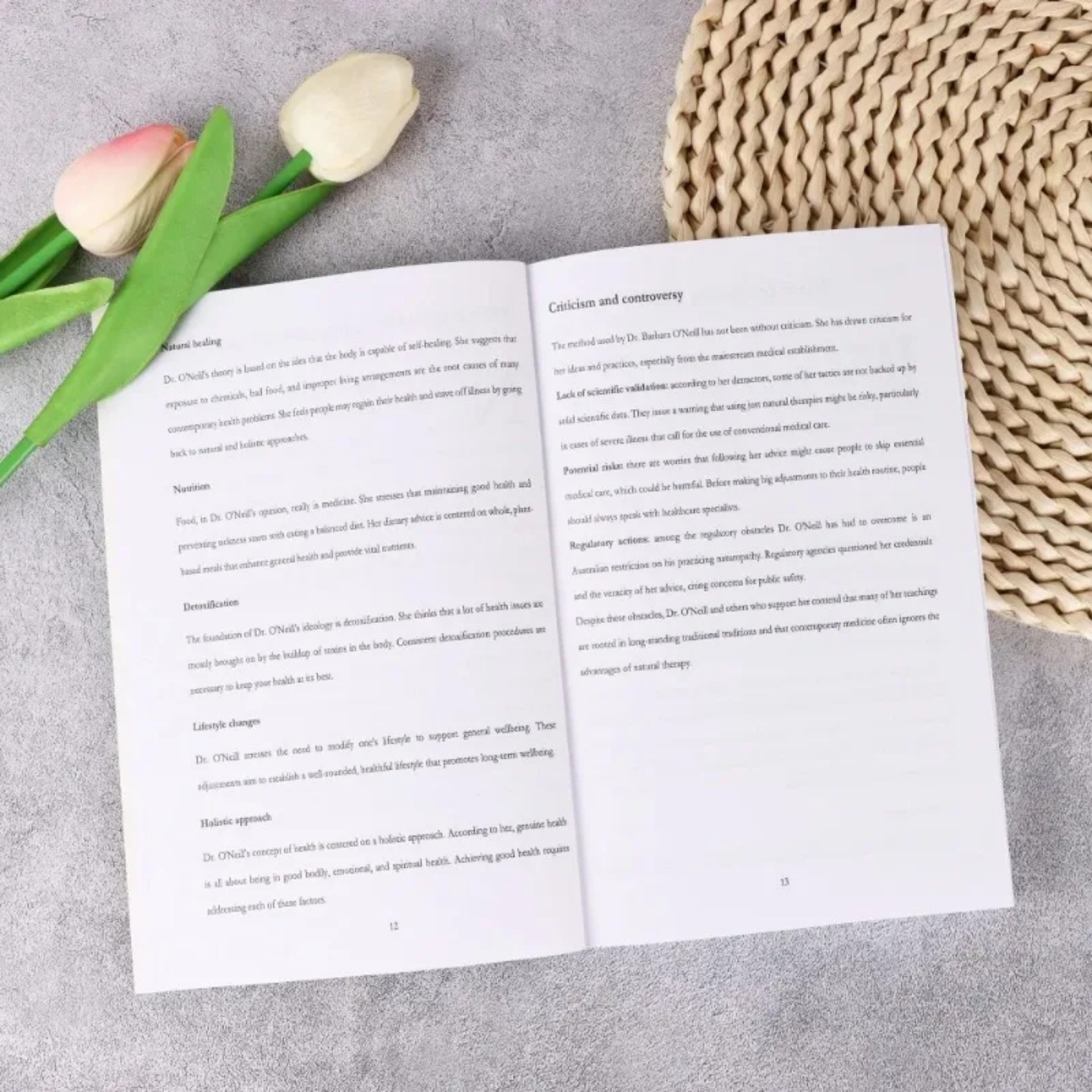 2026 Herbal Remedies Complete  - огляд і ціна Herbal Wellness Recipes