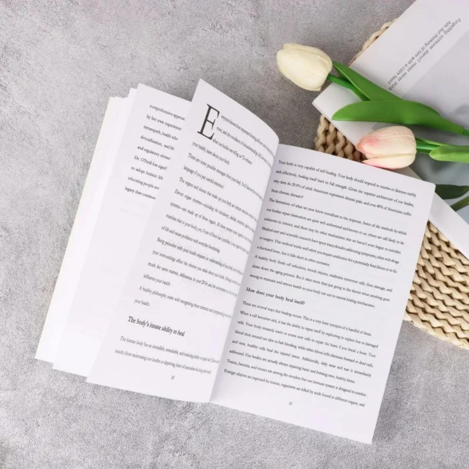 2026 Herbal Remedies Complete  - огляд і ціна Herbal Wellness Recipes